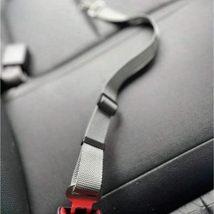 PET SEATBELT